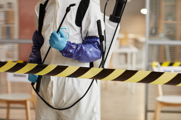 Professional Sewage Cleanup technician working in Union, NJ